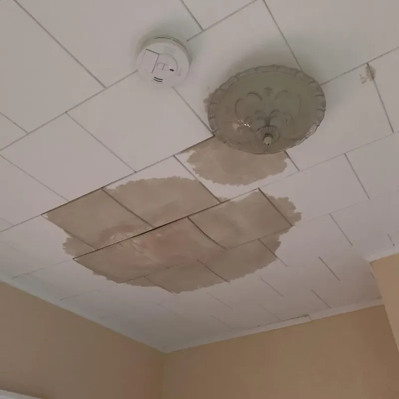 Ceiling Water Damage Repair in Bremer County, IA