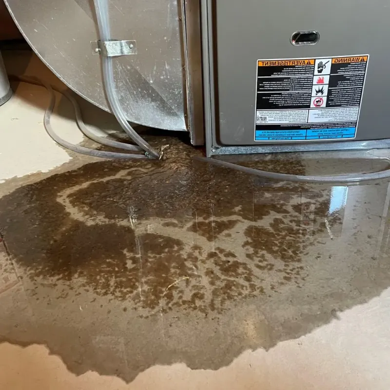 Pipe Burst and Leak Restoration in Bremer County, IA
