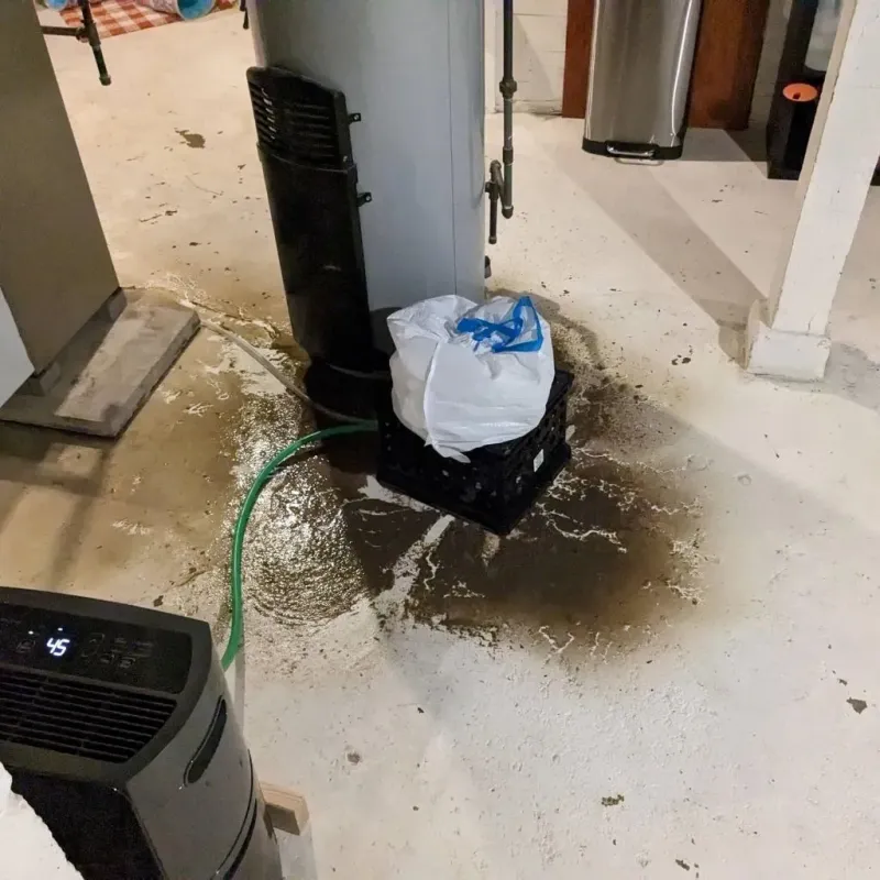Sewage Backup Cleanup Service in Bremer County, IA